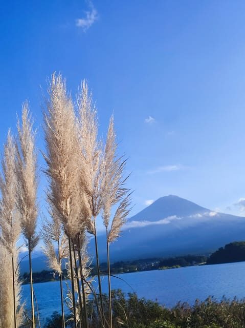 Mount Fuji and Hakone Full Day Private Sightseeing Tour - Final Thoughts