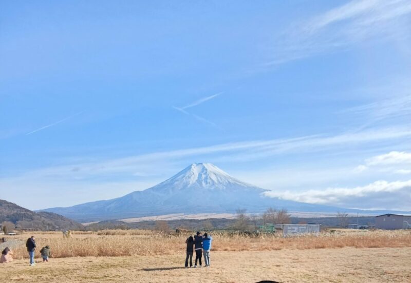 Mount Fuji and Hakone Full Day Private Sightseeing Tour - Flexibility and Customization