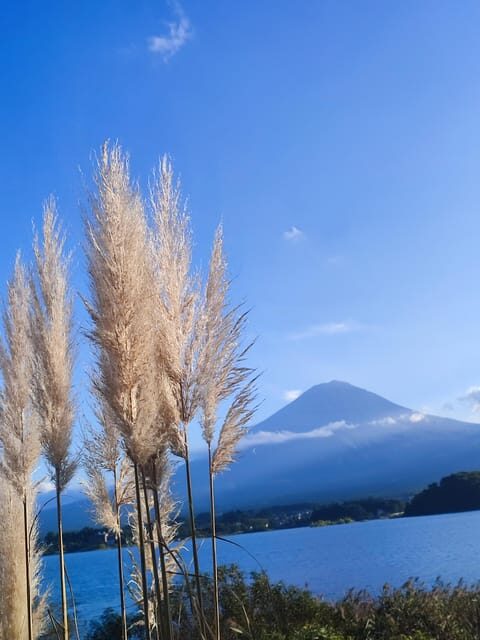 Mount Fuji and Hakone Full Day Private Sightseeing Tour - The Value of Private Transportation