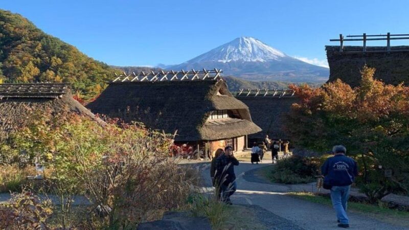 Mount Fuji and Hakone Full Day Private Sightseeing Tour - The Experience: Authentic, Scenic, and Comfortable