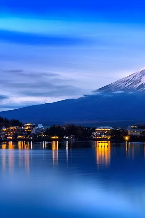 Mount Fuji and Hakone Private Sightseeing Tour - Tour Overview and Pricing
