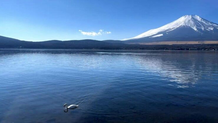 Mount Fuji and Hakone Private Tour English Speaking Driver - Itinerary Highlights