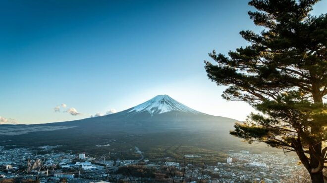 Mount Fuji and Hakone Private Tour English Speaking Driver - Scenic Experiences