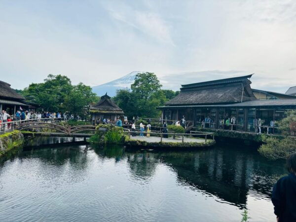 Mount Fuji and Hakone Private Tour English Speaking Driver - Booking Information
