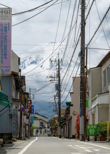 Mount Fuji and Hakone Private Tour English Speaking Driver - Customer Reviews
