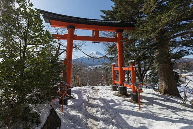Mount Fuji and Hakone Private Tour with English Speaking Guide - Practical Considerations