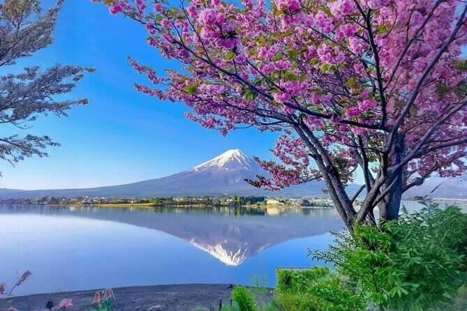 Mount Fuji and Hakone Private Tour with English Speaking Guide - FAQs