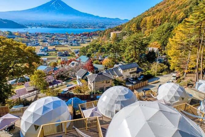 Mount Fuji and Hakone Private Tour With English Speaking Guide - Pricing and Reservation
