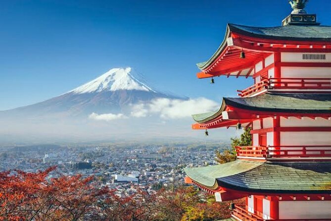 Mount Fuji and Hakone Private Tour With English Speaking Guide - Minimum Travelers Requirement