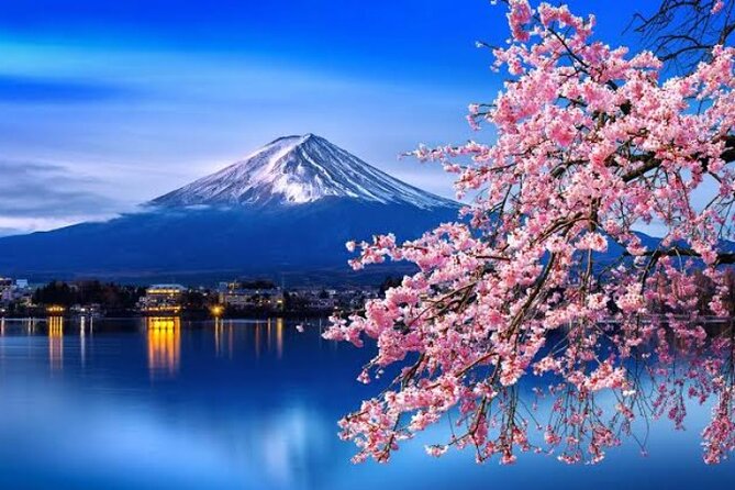 Mount Fuji and Hakone Private Tour With English Speaking Guide - Common Questions