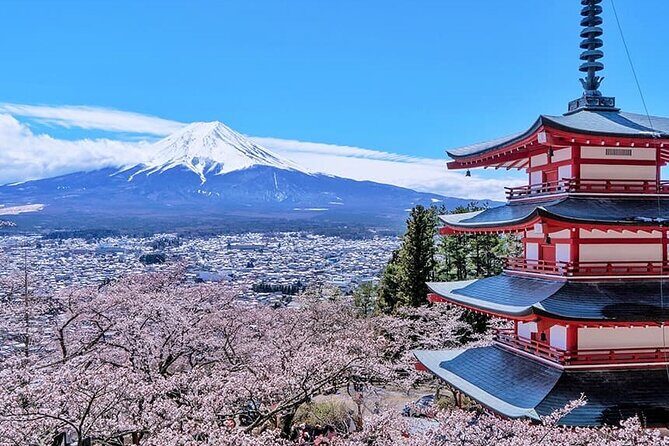 Mount Fuji and Hakone Private Tour With Pick And Drop - Good To Know