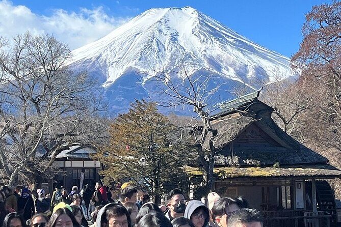 Mount Fuji and Hakone Private Tour With Pick And Drop - An In-Depth Look at the Itinerary and What to Expect