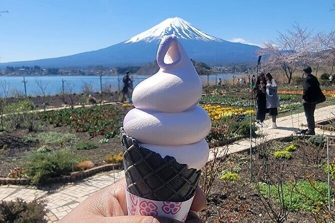 Mount Fuji and Hakone Private Tour With Pick And Drop - FAQ