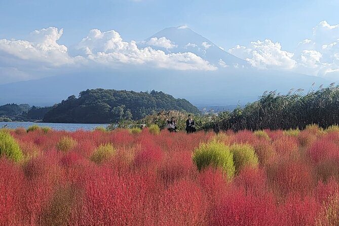 Mount Fuji and Hakone Private Tour With Pick And Drop - Practical Details and Tips