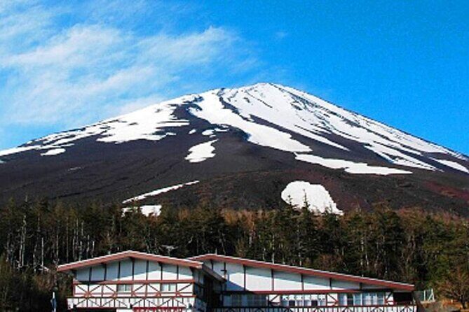 Mount Fuji and Hakone Private Tour With Pick And Drop - Authentic Feedback from Past Travelers