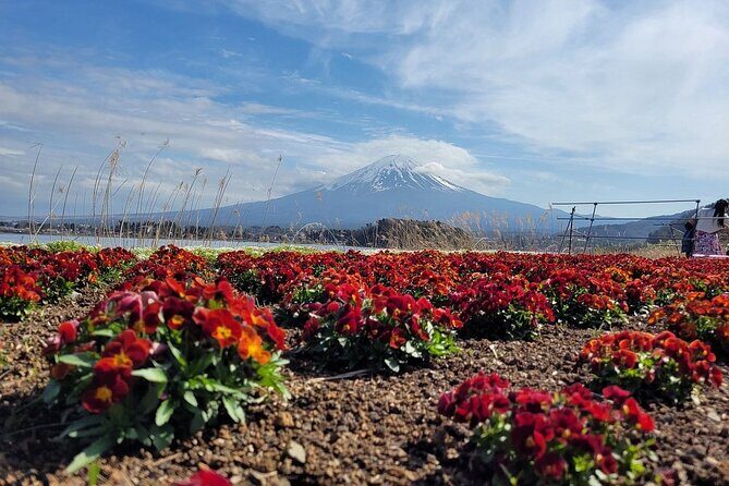 Mount Fuji and Hakone Private Tour With Pick And Drop - FAQ