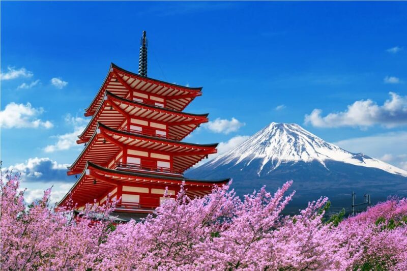 Mount Fuji and Hakone Tour with Personal Driver & Transport - An In-Depth Look at the Itinerary