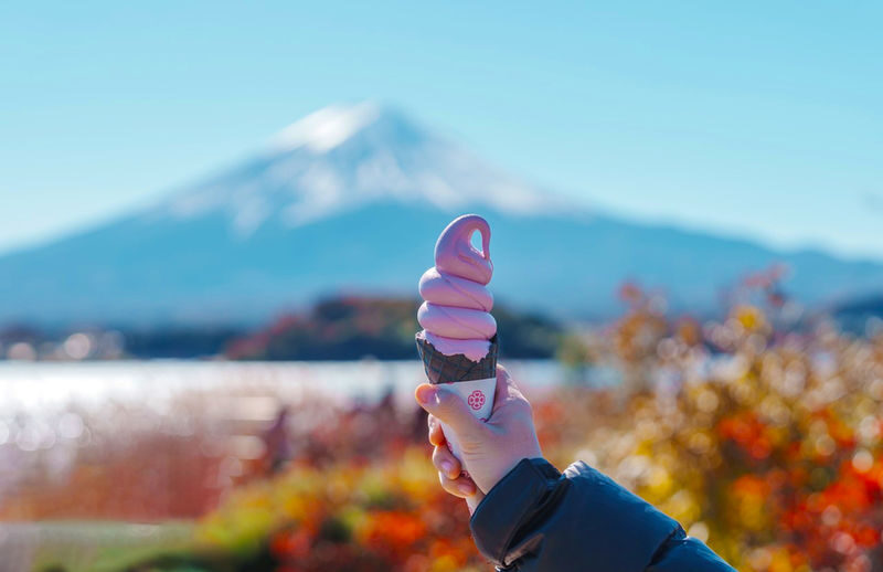 Mount Fuji and Lake Kawaguchi Panoramic Day Trip - Includes Mount Tenjo Park Ropeway Ticket (From Tokyo) - The Tenjo ropeway gives you the broad view