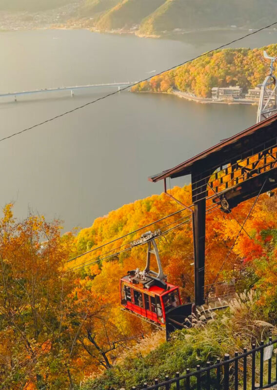 Mount Fuji and Lake Kawaguchi Panoramic Day Trip - Includes Mount Tenjo Park Ropeway Ticket (From Tokyo) - The Lawson stop is brief and built around one frame