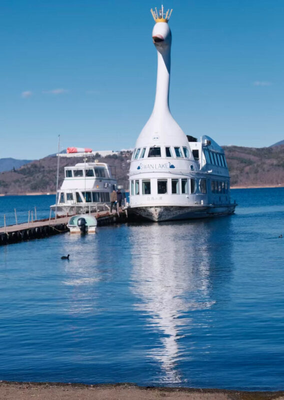 Mount Fuji and Lake Kawaguchi Panoramic Day Trip - Includes Mount Tenjo Park Ropeway Ticket (From Tokyo) - The fare is good value if you want transport and variety
