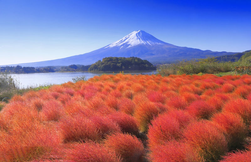 Mount Fuji and Lake Kawaguchi Panoramic Day Trip - Includes Mount Tenjo Park Ropeway Ticket (From Tokyo) - Who should book this Fuji day trip?