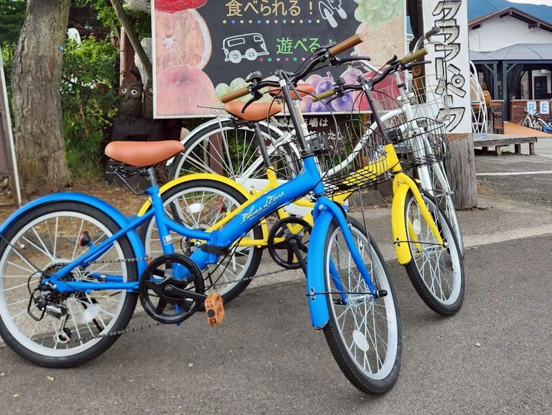Mount Fuji and Lake Kawaguchi Scenic Sightseeing - Bicycle Rental & Lake Kawaguchi Cruising - A self-guided ride, not a sightseeing tour