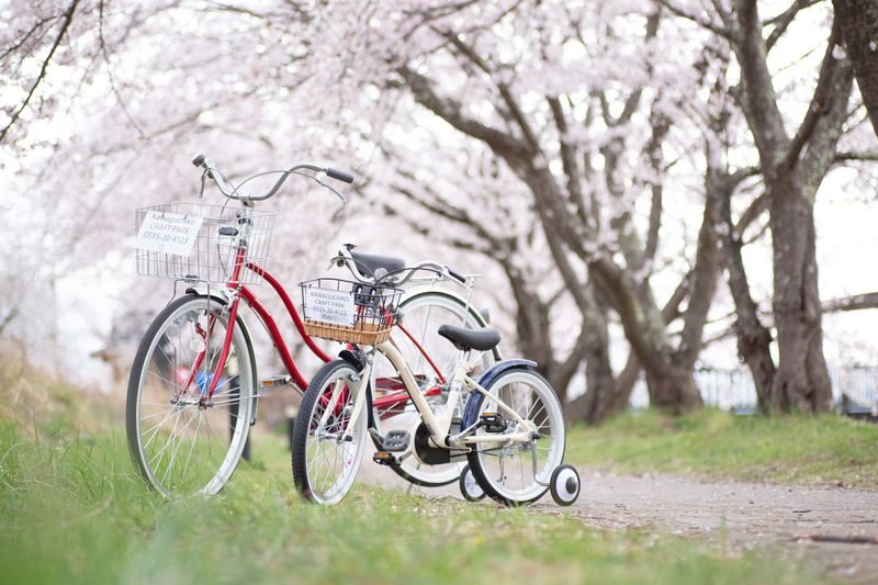 Mount Fuji and Lake Kawaguchi Scenic Sightseeing - Bicycle Rental & Lake Kawaguchi Cruising - Check the pickup before building your day around it