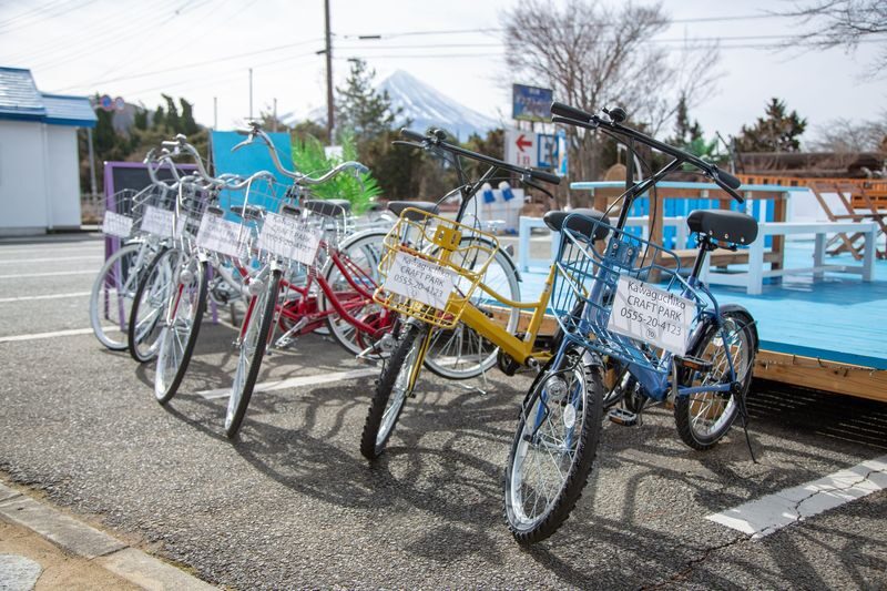 Mount Fuji and Lake Kawaguchi Scenic Sightseeing - Bicycle Rental & Lake Kawaguchi Cruising - Who should book this rental?