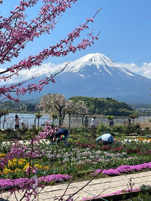 Mount Fuji and Lake Kawaguchiko Tour With English Guide - Exclusions and Restrictions