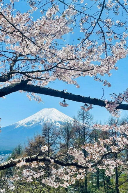 Mount Fuji and Lake Kawaguchiko With Pick-Up & Drop-Off - Accessibility Options