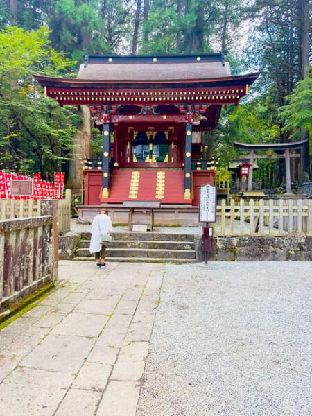 Mount Fuji and Lake Kawaguchiko With Pick-Up & Drop-Off - Additional Charges and Restrictions