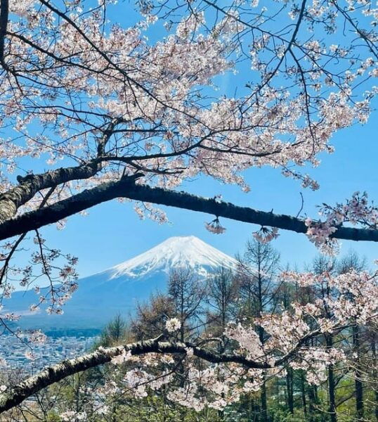Mount Fuji and Lake Kawaguchiko With Pick-Up & Drop-Off - Frequently Asked Questions