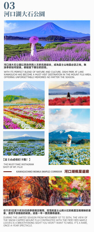 Mount Fuji and Lake Sai One-Day Tour: Arakurayama Sengen Park, Oshino Hakkai, and Lake Kawaguchi Oishi Park (Departing from Tokyo, Limited Lunch Included) - Oishi Park: flowers, lake views and the maple season