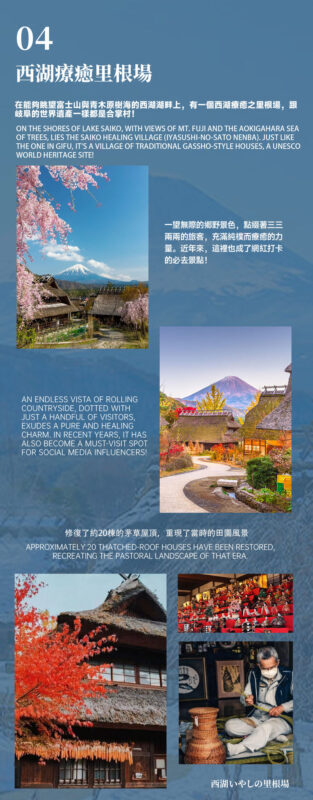Mount Fuji and Lake Sai One-Day Tour: Arakurayama Sengen Park, Oshino Hakkai, and Lake Kawaguchi Oishi Park (Departing from Tokyo, Limited Lunch Included) - Lunch: read the package details closely