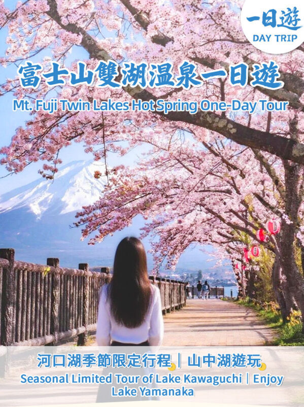 Mount Fuji and Shibazakura Festival Full-Day Flower Viewing Tour - Choose your first Fuji view by season