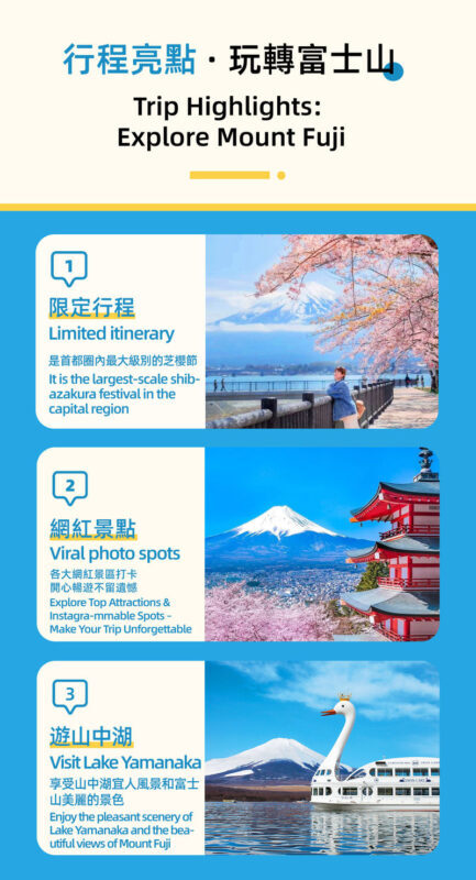 Mount Fuji and Shibazakura Festival Full-Day Flower Viewing Tour - Lake Yamanaka: swans, a boat or a hot spring