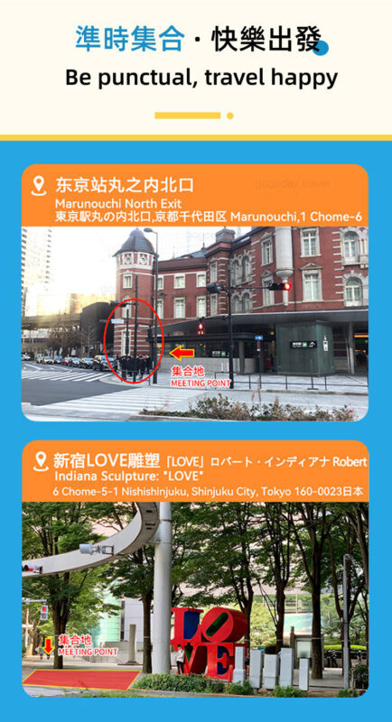 Mount Fuji and Shibazakura Festival Full-Day Flower Viewing Tour - What the guide and lunch add