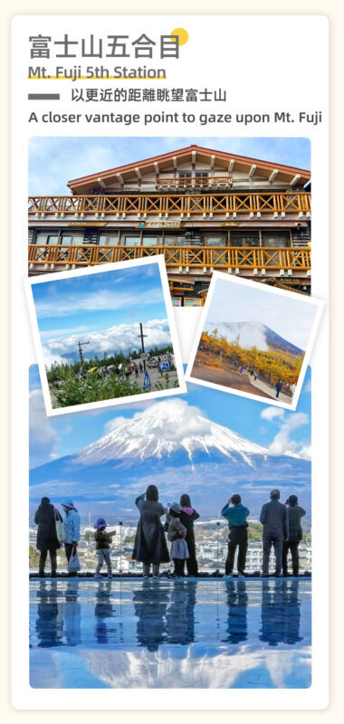 Mount Fuji and Shibazakura Festival Full-Day Flower Viewing Tour - Is $70.39 good value?