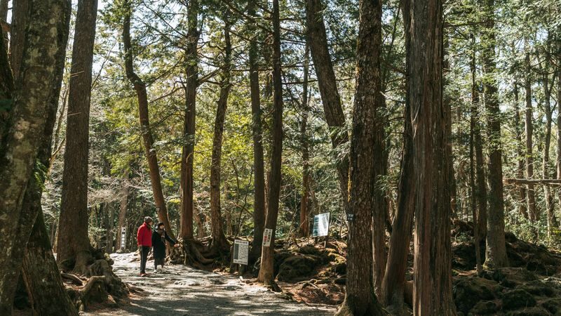 Mount Fuji & Aokigahara Hidden Gems Full-Day Private Tour - What to know before you go