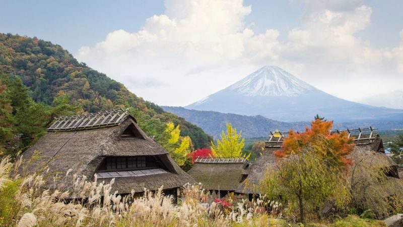 Mount Fuji & Aokigahara Hidden Gems Full-Day Private Tour - A traditional village rounds out the day
