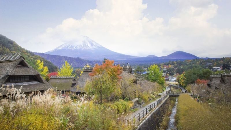 Mount Fuji & Aokigahara Hidden Gems Full-Day Private Tour - The driver can make the day easier