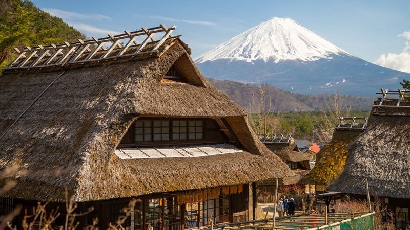 Mount Fuji & Aokigahara Hidden Gems Full-Day Private Tour - Is $349 good value?