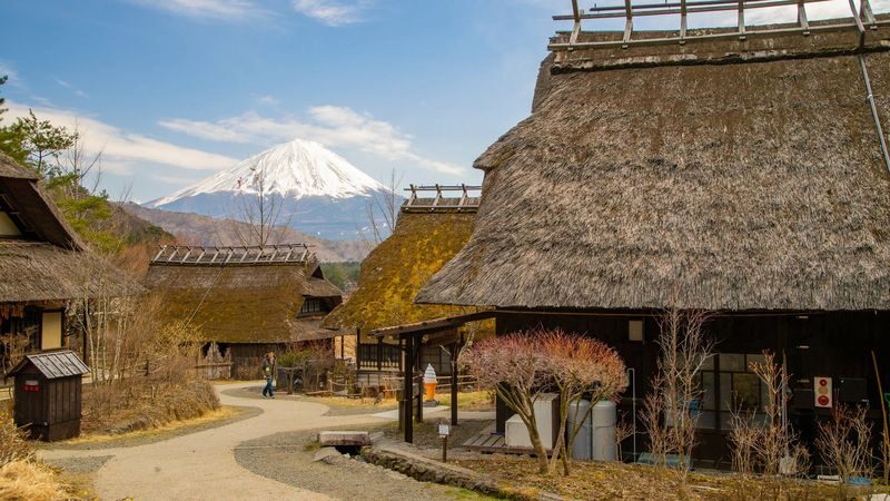Mount Fuji & Aokigahara Hidden Gems Full-Day Private Tour - Who will enjoy this tour most?