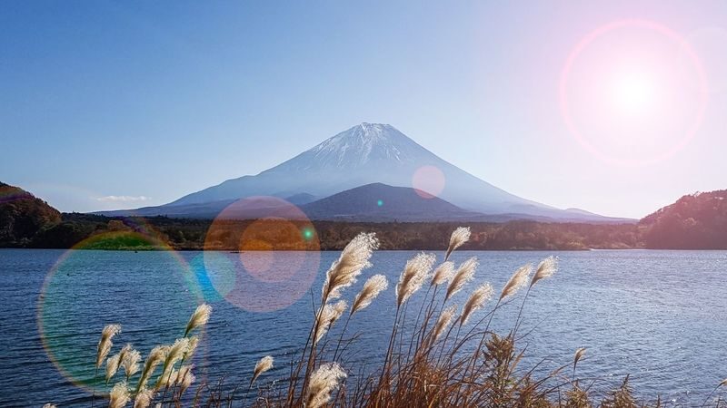 Mount Fuji & Aokigahara Hidden Gems Full-Day Private Tour - Should you book it?