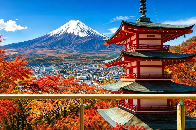 Mount Fuji Brilliant Scenery One-Day Tour (Departing from Tokyo) - One day, many Fuji viewpoints