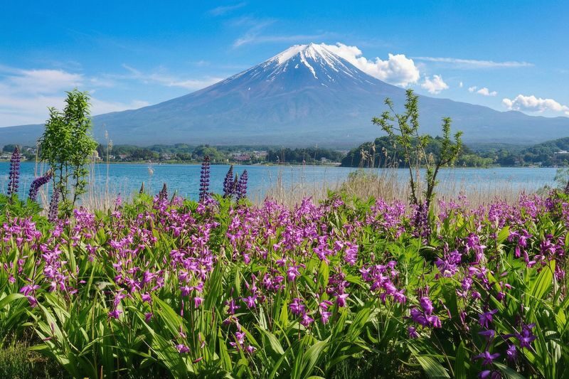 Mount Fuji Brilliant Scenery One-Day Tour (Departing from Tokyo) - Arakurayama Sengen Park and the pagoda view