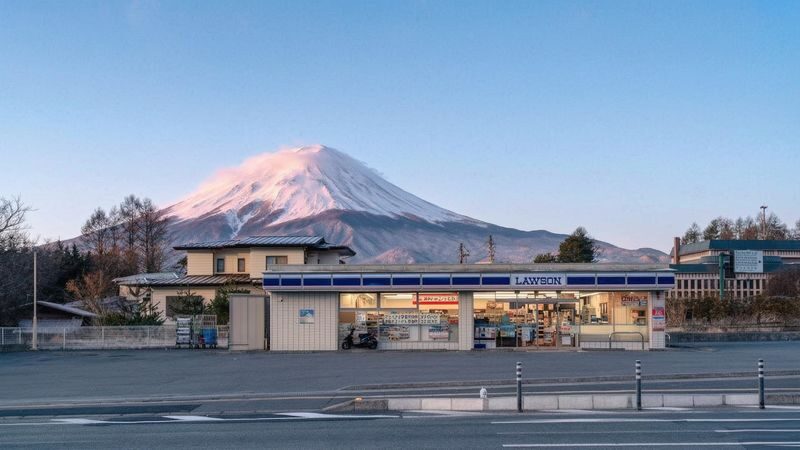 Mount Fuji Brilliant Scenery One-Day Tour (Departing from Tokyo) - Who should book this Mount Fuji day trip?