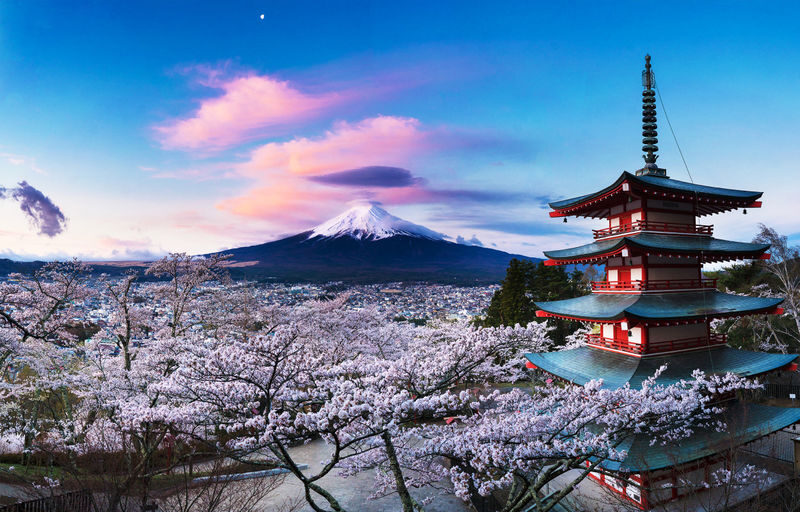 Mount Fuji Classic Day Tour: Arakurayama Sengen Park/5th Station & Lake Kawaguchiko for Cherry Blossoms in Spring and Autumn Leaves in Autumn. Round trip from Tokyo. Hotel pickup and drop-off can be added. (Chinese service) - Arakurayama Sengen Park: the famous pagoda frame