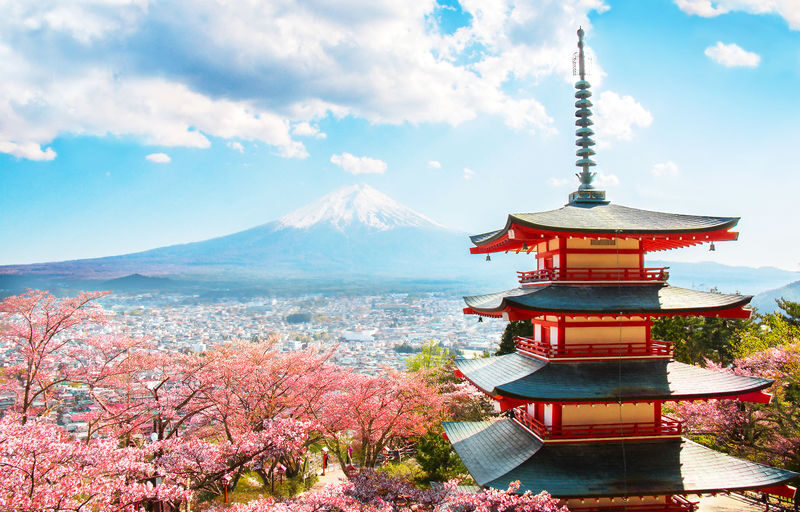 Mount Fuji Classic Day Tour: Arakurayama Sengen Park/5th Station & Lake Kawaguchiko for Cherry Blossoms in Spring and Autumn Leaves in Autumn. Round trip from Tokyo. Hotel pickup and drop-off can be added. (Chinese service) - Oshino Hakkai: eight clear pools and a good lunch break