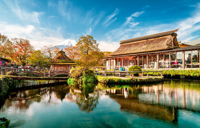 Mount Fuji Classic Day Tour: Arakurayama Sengen Park/5th Station & Lake Kawaguchiko for Cherry Blossoms in Spring and Autumn Leaves in Autumn. Round trip from Tokyo. Hotel pickup and drop-off can be added. (Chinese service) - Seasonal flowers, blossoms and autumn color